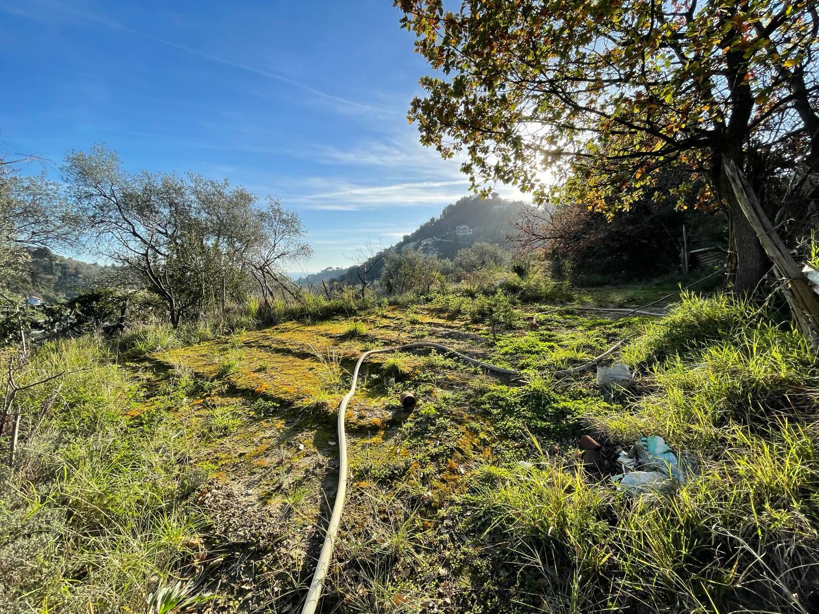 Vente Terrain-Agricole | Family Immo
